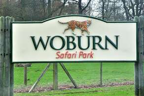 Woburn Safari Park