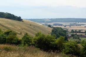 Dunstable Downs